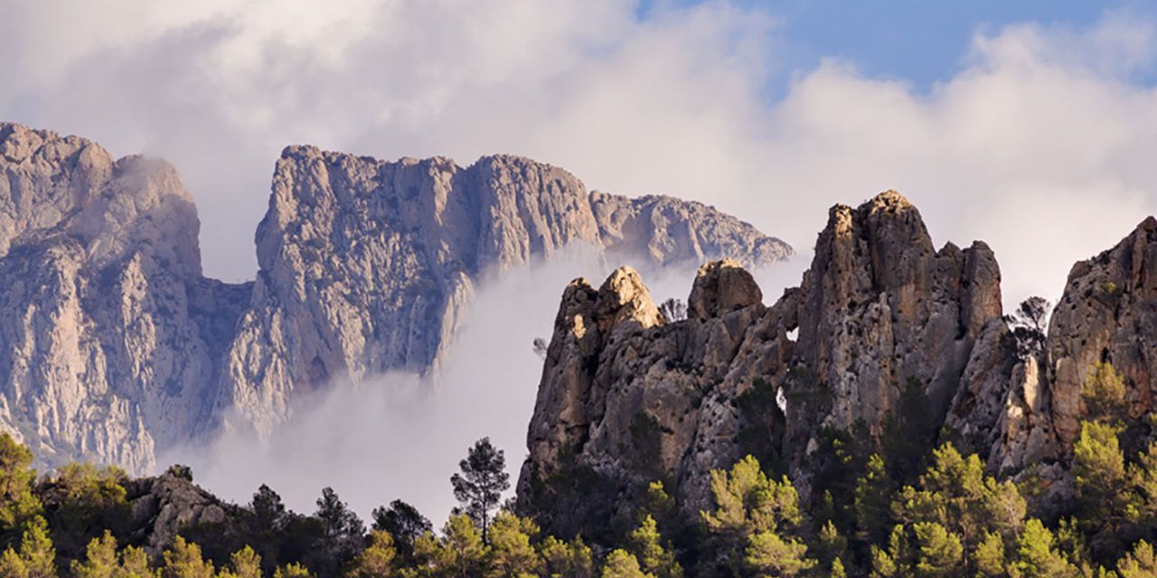 Al país de les gralles