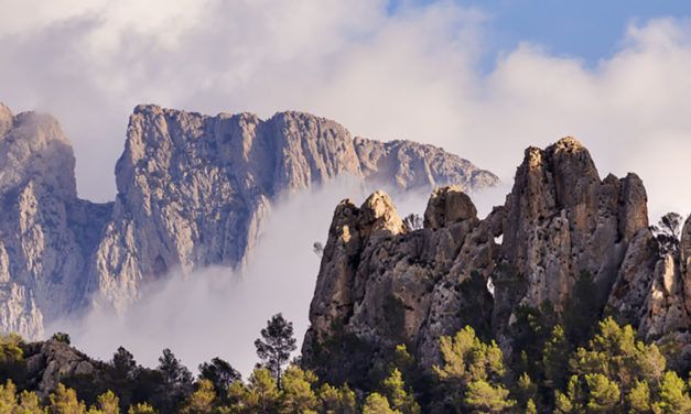 Al país de les gralles