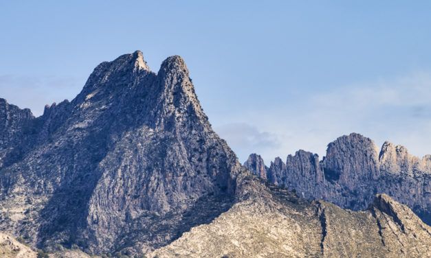 El drac de pedra