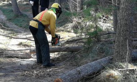 Els Bombers Forestals col·laboren en la restauració de sendes i camins a Alcoi