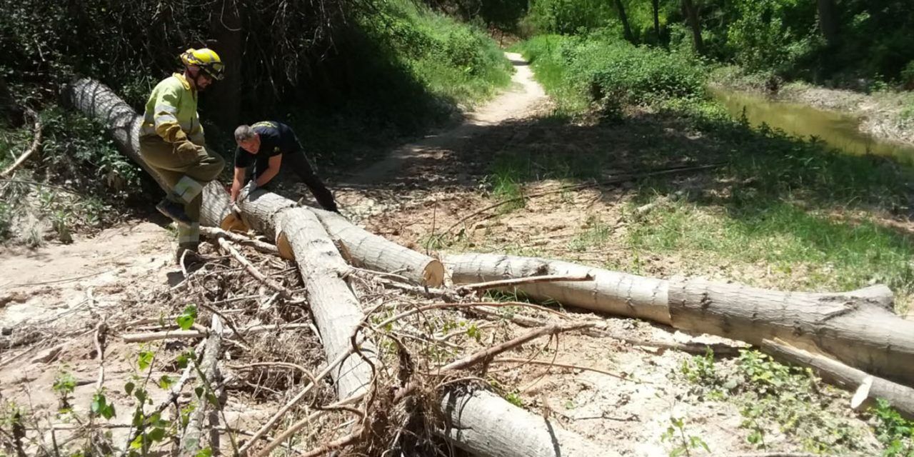 Retirada d’arbes caiguts en la senda del Quinzet i la Via Verda